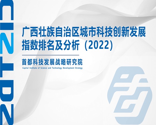 欧美老妇人肏屄【成果发布】广西壮族自治区城市科技创新发展指数排名及分析（2022）